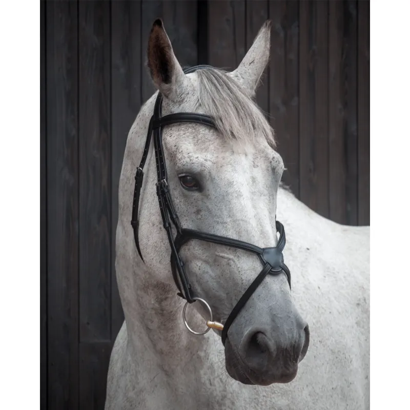 Henry James Grackle Bridle - Black-2